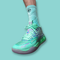 Chaussettes Performance Hoops Teal