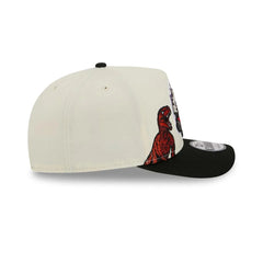 Casquette 950 Toronto Raptors NBA HWC