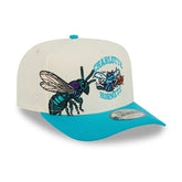 950 Charlotte Hornets NBA HWC Cap