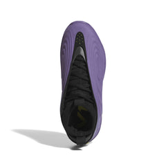 Adidas Harden Vol.10 Matte Purple