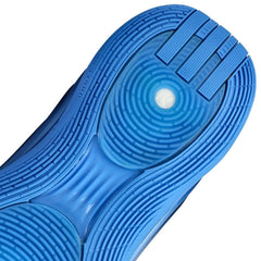 Adidas Harden Vol.10 "Saphire Suede"