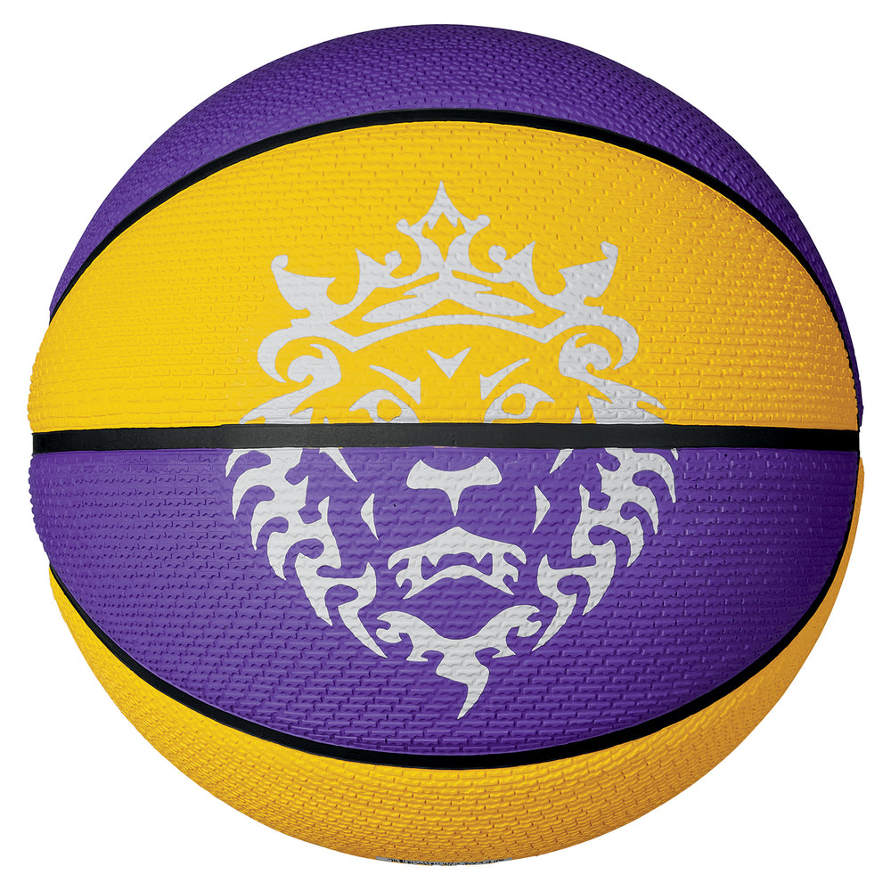 Ballon de Basketball Nike Playground 2.0 8P Lebron JAMES Violet & Jaune