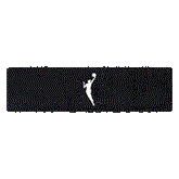 Bandeau Nike WNBA Black
