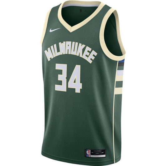 Nike Nba Icon 2020 jersey - Giannis Antetokounmpo