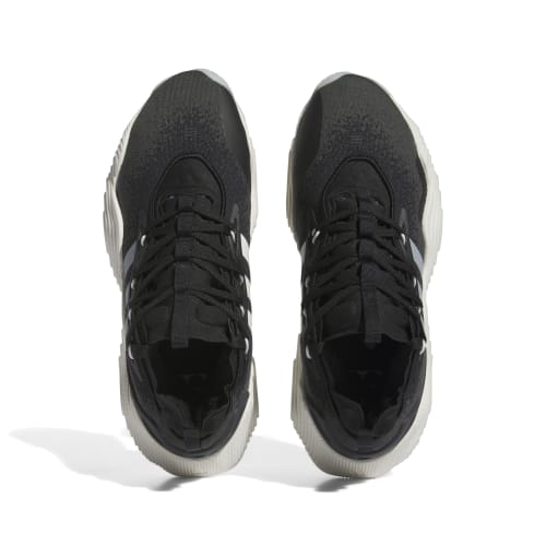 Adidas Trae Young 3 Carbon White IE9362