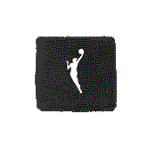 Poignet Eponge Nike WNBA Black