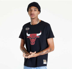 T-shirt Mitchel n' Ness Logo Toronto Raptors