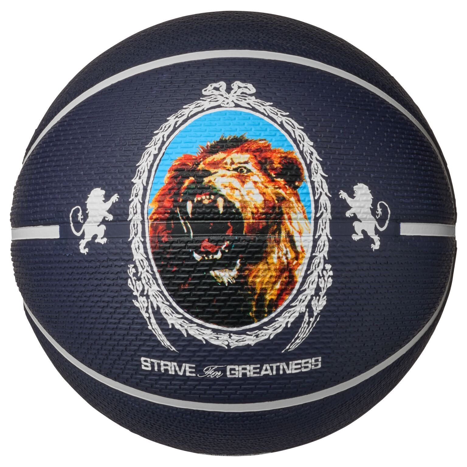 Ballon de Basketball Nike Playground 2.0 8P Lebron JAMES Purple/Black