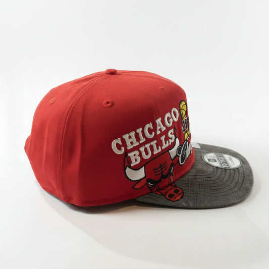 Casquette Hardwood Classics 19Twenty Adjustable Chicago Bulls Champions