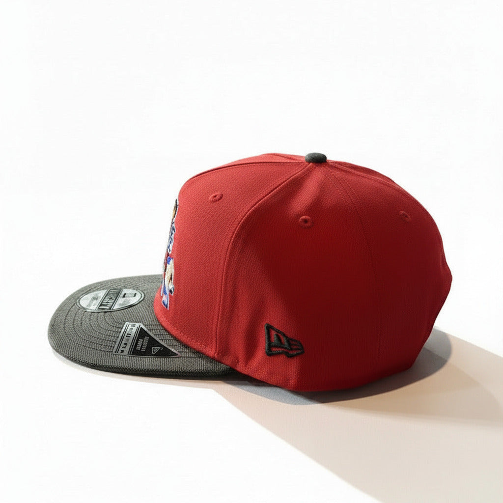 Casquette Hardwood Classics 19Twenty Adjustable Chicago Bulls Champions