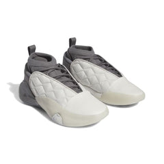 Adidas Harden Vol.7 Grey IE9257