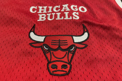 Short New Era mesh Chicago Bulls