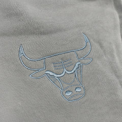 T-Shirt New Era OS CHICAGO BULLS