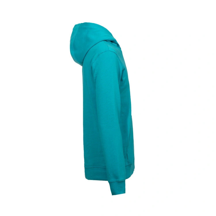Sweat à Capuche Enfant Nike NBA Charlotte Hornets