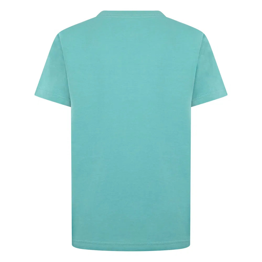 T-Shirt JDB Jumpman Air EMB Washed Teal